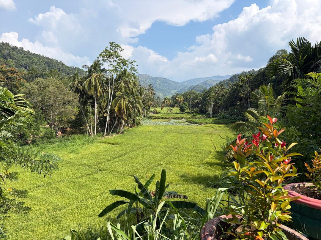 Journey To Lankatours-科伦坡必去景点