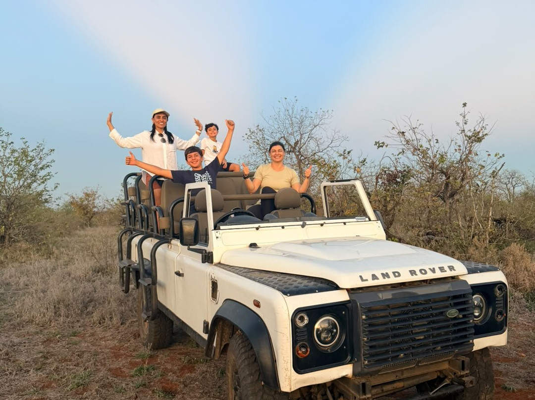African Safari Group-开普敦必去景点