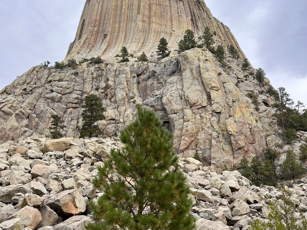 Devils Tower National Monument-Devils Tower必去景点