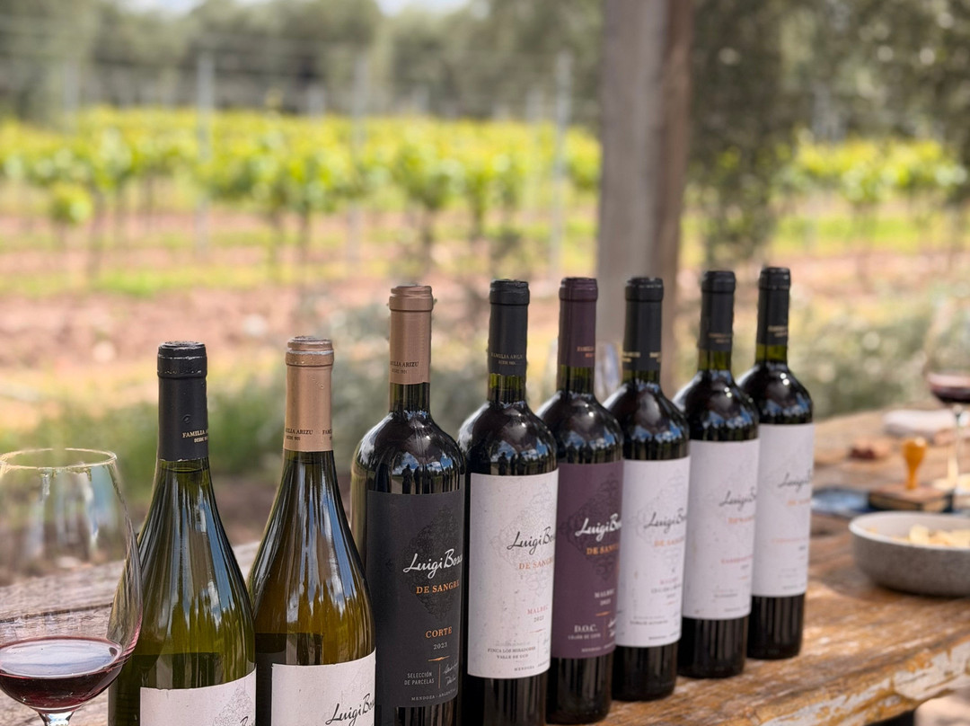 Finca El Paraíso - Bodega Luigi Bosca-Maipu必去景点