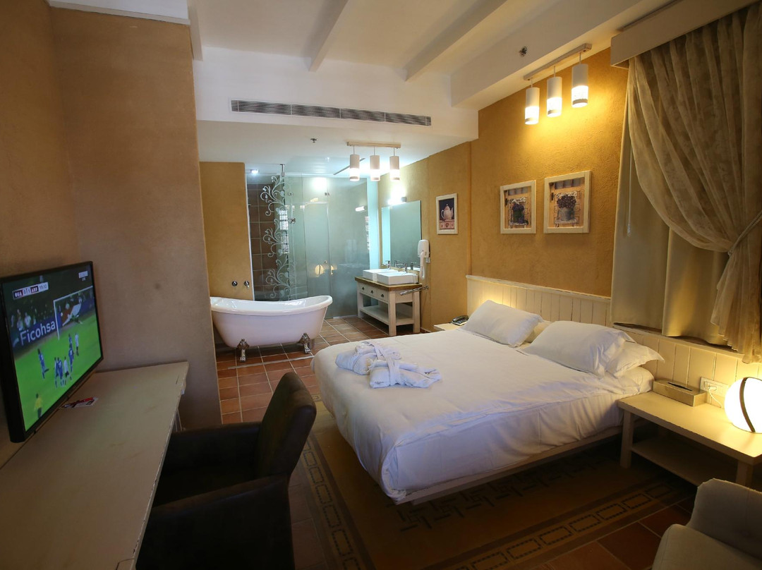 Haifa酒店住宿-坦普勒斯精品酒店