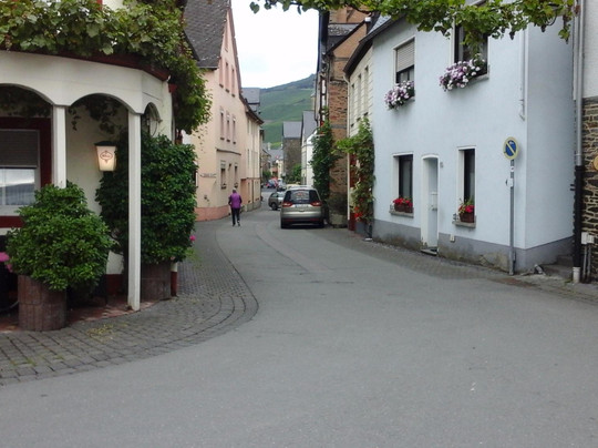 Wehlen酒店住宿-Hotel Zum Josefshof