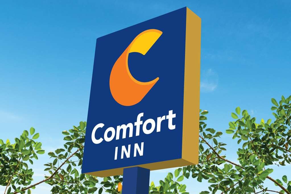 Comfort Inn-官方