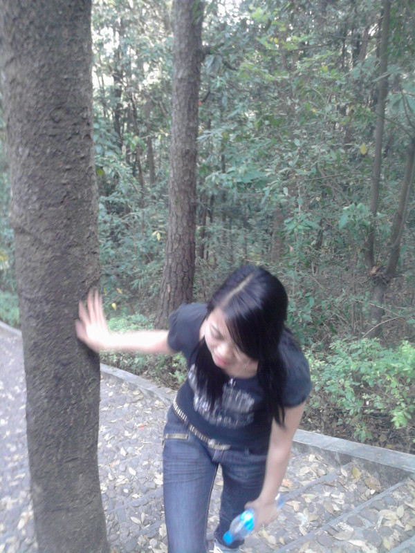 神光山旅游区-兴宁市必去景点