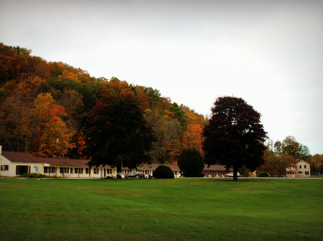 Forest Dale酒店住宿-Brandon Motor Lodge