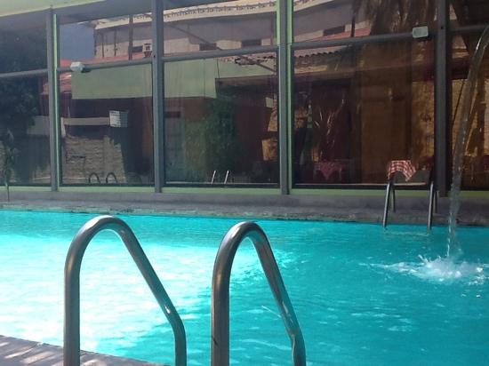 Plaza Hotel-泳池