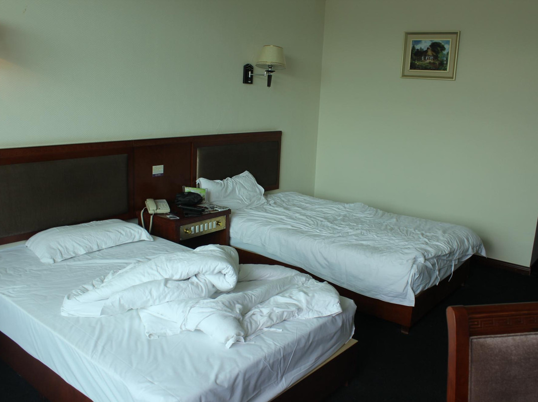 登封未来宜居连锁酒店释小龙武院店