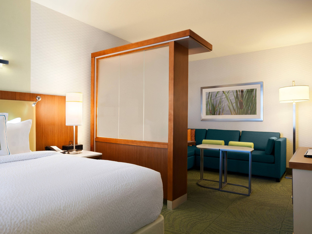 SpringHill Suites by Marriott Jackson Ridgeland/The Township at Colony Park主图