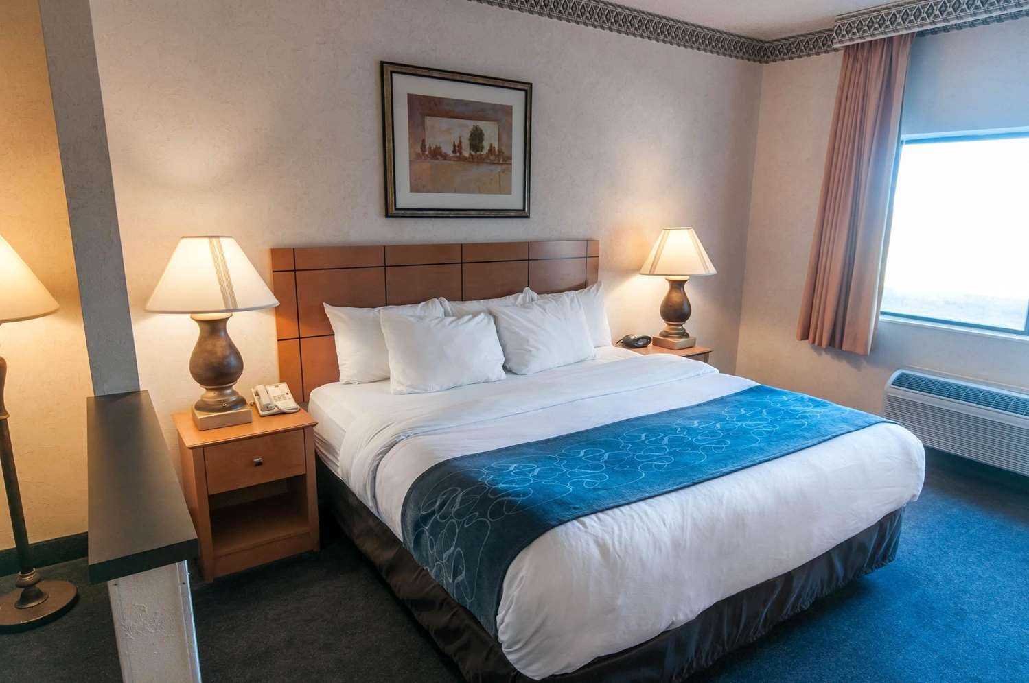 Comfort Suites University-官方