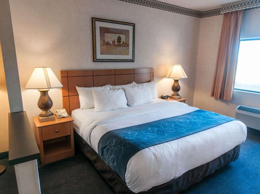 Comfort Suites University