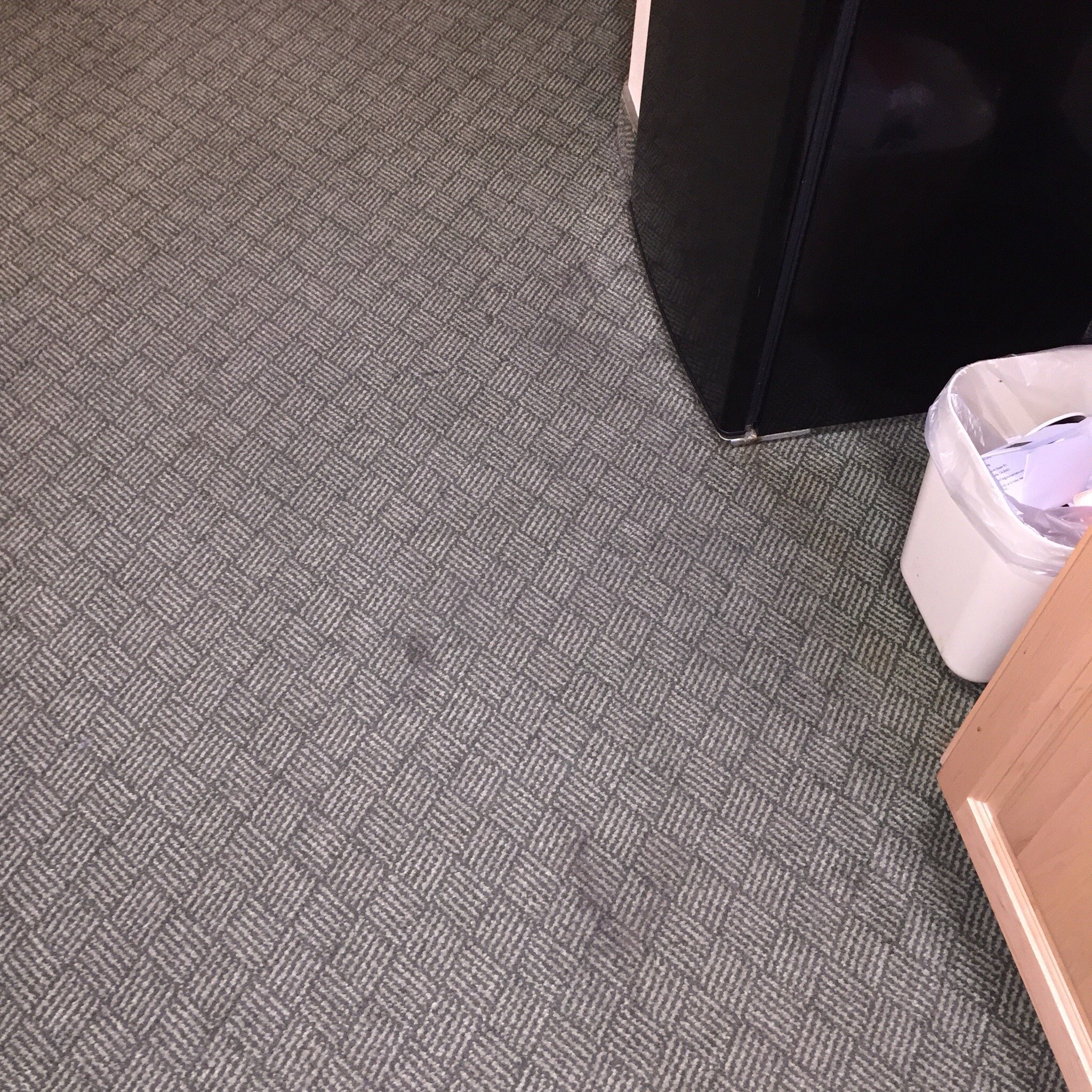 Comfort Suites Marysville-Yuba City-官方