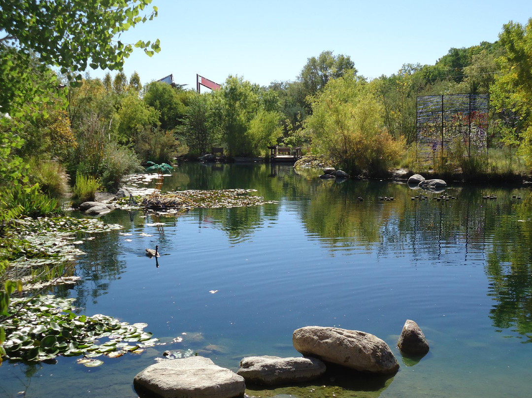 Albuquerque Biological Park景点图片