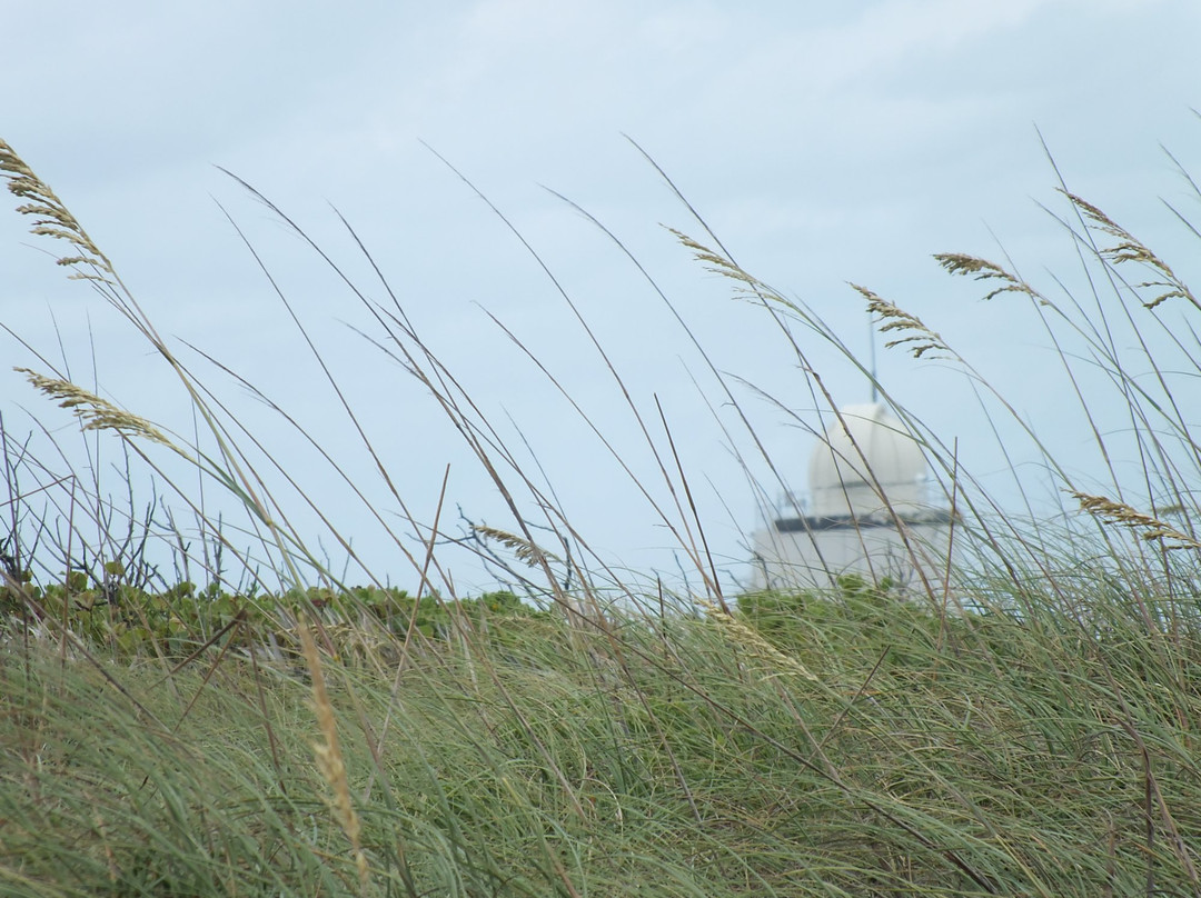 Playalinda Beach景点图片