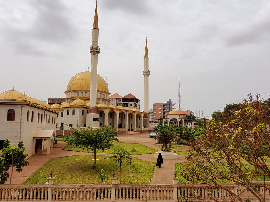 Mosquée Turque De Koloma景点图片