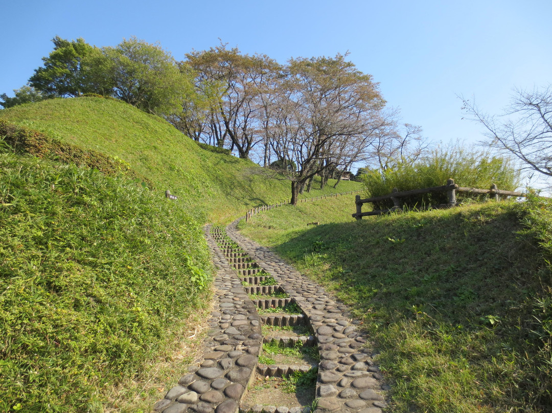 Gokan Castle景点图片