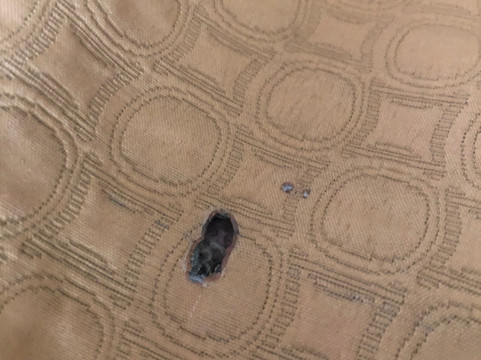 Super 8 by Wyndham Warroad