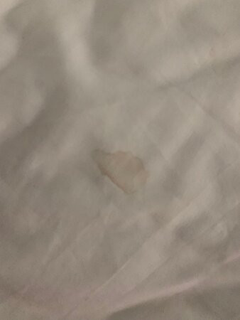 avid Hotel Fort Mill - Carowinds Blvd by IHG主图