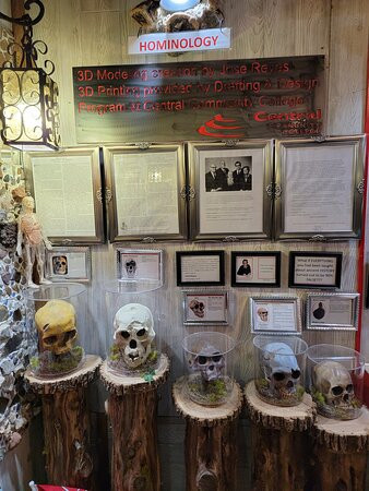 Nebraska Bigfoot Crossroads Of American Museum And Research Center-Hastings必去景点