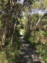 Screw Creek Townsend Bluff Estuary Walk-Inverloch必去景点