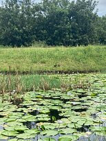 Beaver Creek Coffee Farm-Port Edward必去景点