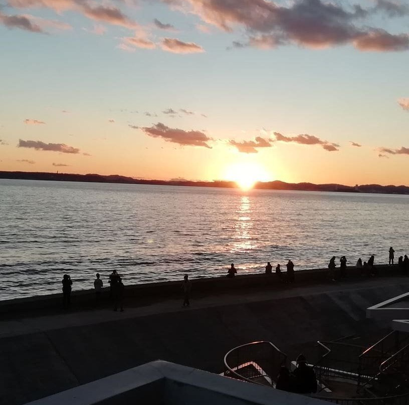 Futtsu Park-富津市必去景点