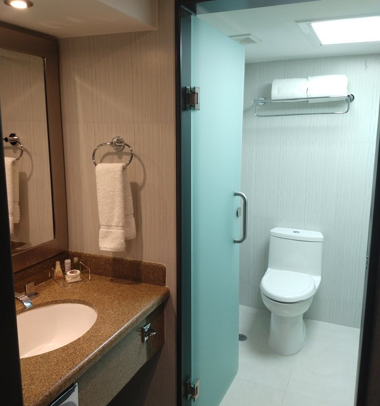 阿莱莎墨西卡利酒店主图