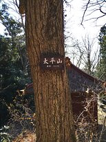Ohirasan Shrine-栃木市必去景点
