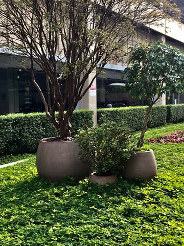 Shopping SP Market-圣保罗必去景点