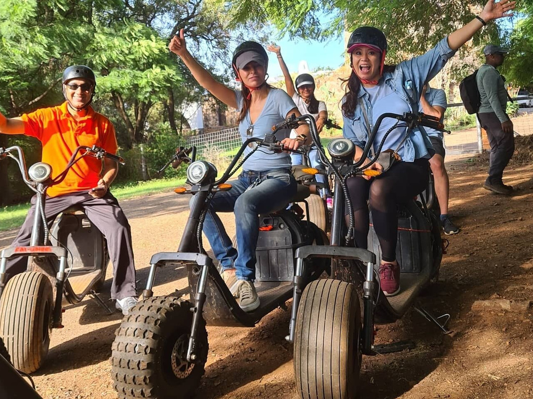 Baboon Adventures