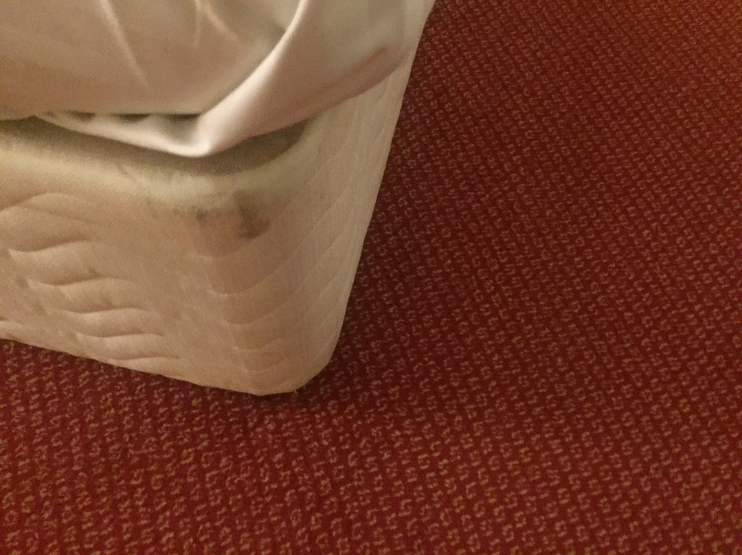梅特兰菲尔德别墅酒店主图