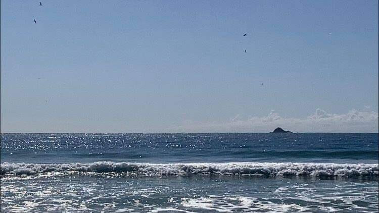 鹦鹉螺海滨Spa公寓主图