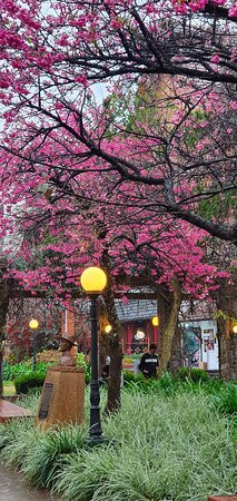 Praca Major Nicoletti-格拉玛多必去景点