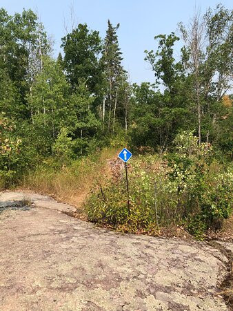 Blueberry Hill Trail景点图片