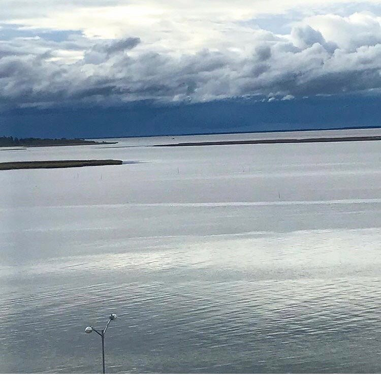 Swan Rio Grande主图