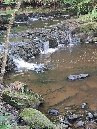 Hareshaw Linn Walk-Bellingham必去景点