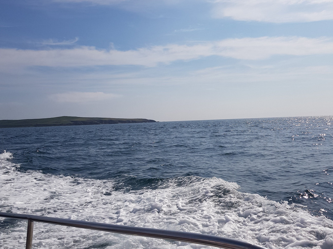 Saltee  Ferry-韦克斯福德必去景点