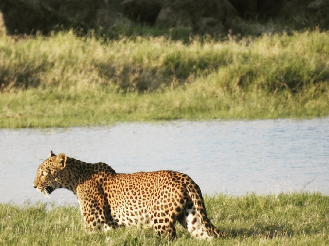 Rokmi Tours Sri Lanka-康提必去景点