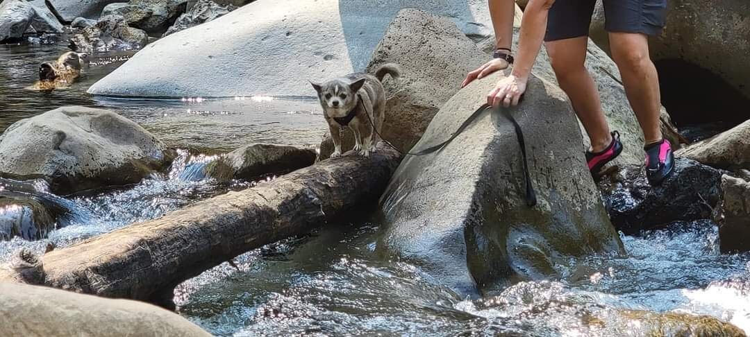Eagle Creek Trail-Cascade Locks必去景点