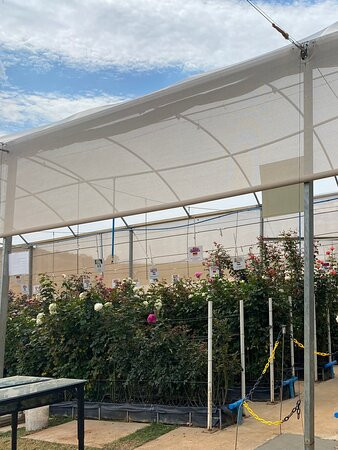 Park Vitrine Das Flores-塞拉内格拉必去景点