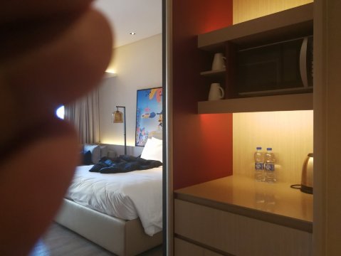 北京东直门雅辰悦居酒店-客卧