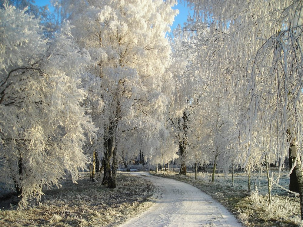 Gaestehaus am Schloss Neuhausen主图