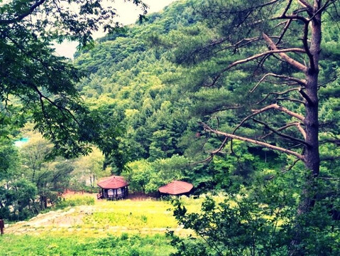 Geumbong Recreational Forest-义城郡必去景点
