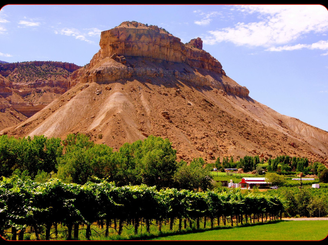 Palisade旅游攻略图片