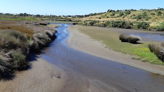 Waikanae Estuary Scientific Reserve景点图片