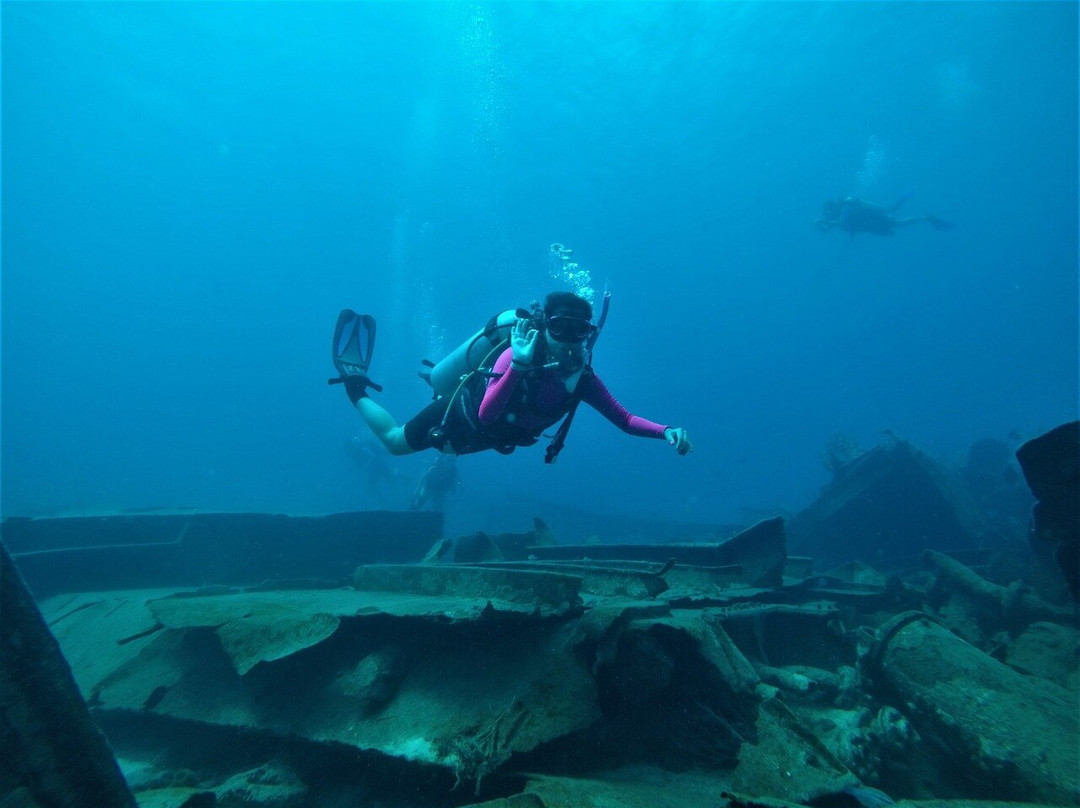 Aquarius Diving Club Medellín景点图片