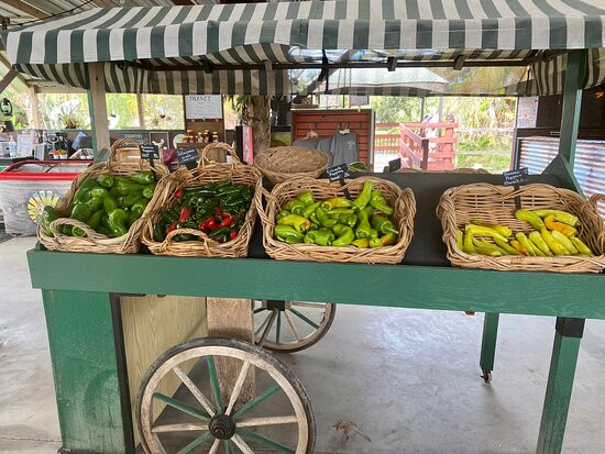 Southern Fresh Farms-迈尔斯堡必去景点