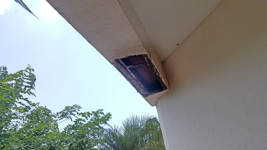 Fiesta Inn Tampico-泳池