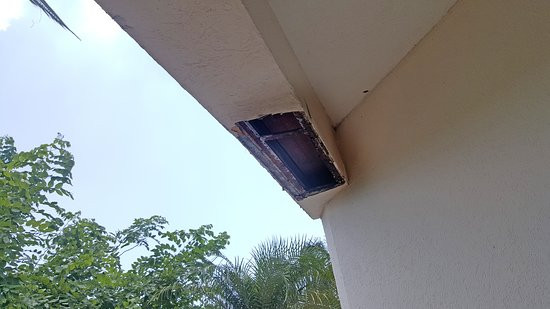 Fiesta Inn Tampico主图