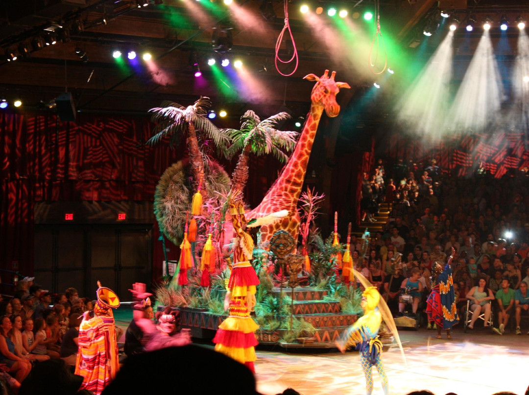 Festival of the Lion King-奥兰多必去景点
