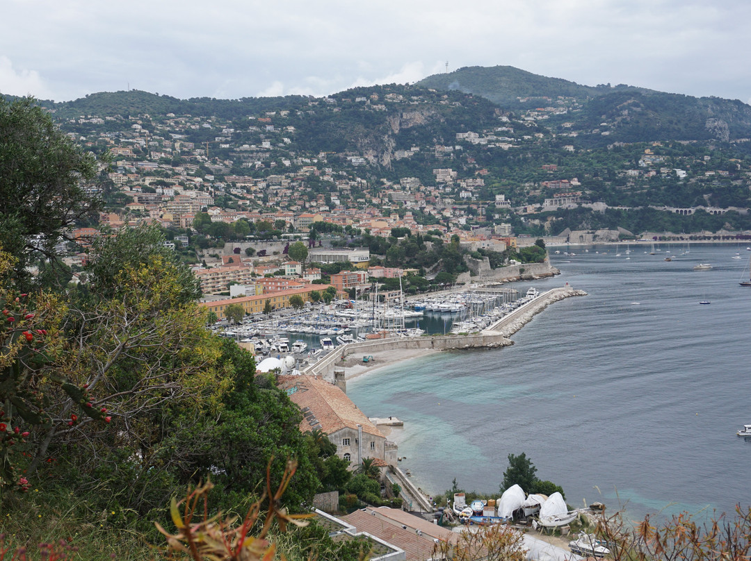 Memorial Princesse de Monaco景点图片